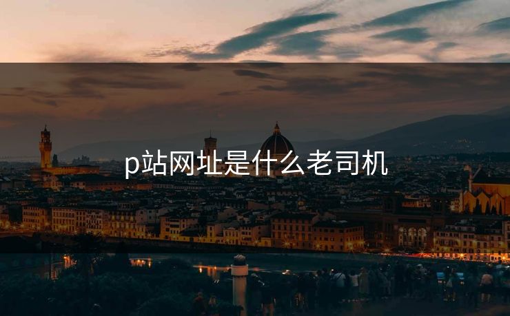 p站网址是什么老司机