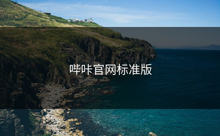 哔咔官网标准版