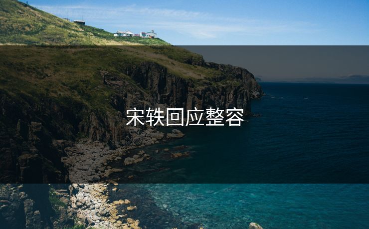 宋轶回应整容